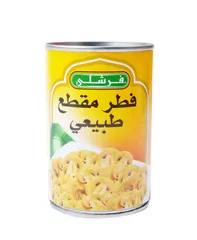 فطر مقطع طبيعي