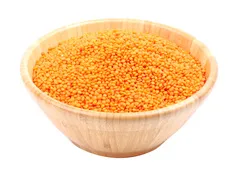 عدس أحمر