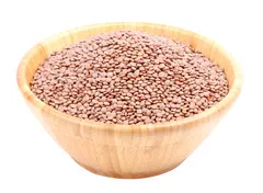 عدس أبو جبه أسود