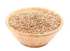 Green Lentils