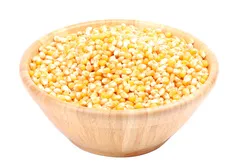 ذرة فشار امريكي