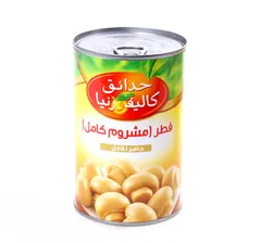 فطر كامل
