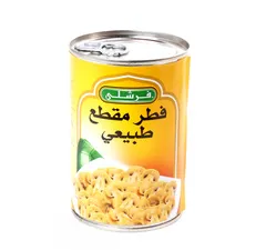 فطر مقطع شرائح