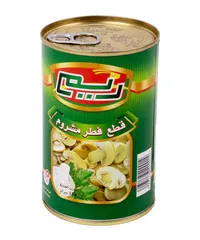 فطر مقطع شرائح