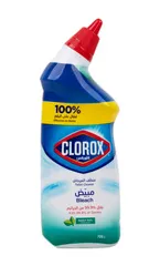Fresh Scent Toilet Bowl Cleaner With Bleach