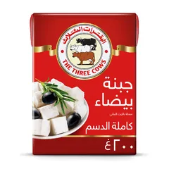  (ملح أقل) جبنة بيضاء-شبيه جبن- معدلة بالزيت النباتي كاملة الدسم