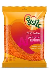 Red Lentil