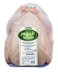 دجاج فاخر طازج