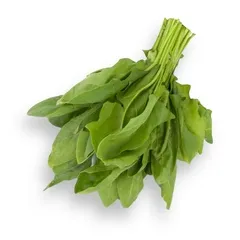 Danube_rocket_leaves