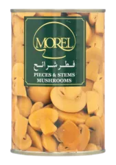 فطر شرائح