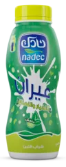 لبن عيران بالخيار والنعناع