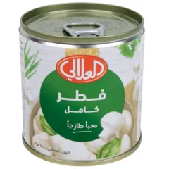 فطر كامل