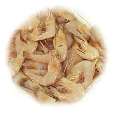 جمبري وسط
