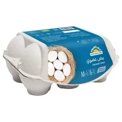 بيض عضوي
