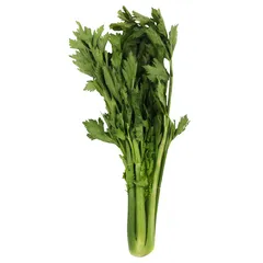 كرفس