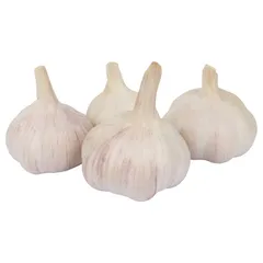 ثوم