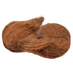 جوز الهند (حبة)
