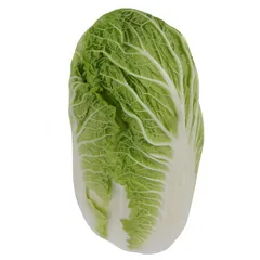 ملفوف صيني