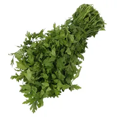 بقدونس