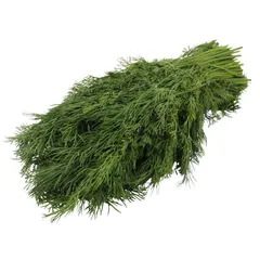 شبت