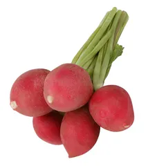 فجل أحمر