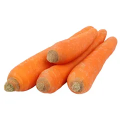 جزر