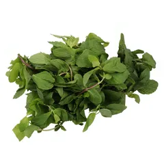 Mint Leaves Addf5440 B118 4146 9a22 F69d88fa0539