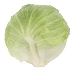 خس آيسبيرج (صحن)
