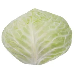 ملفوف أبيض (صحن)