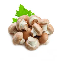 فطر بني (علبة)