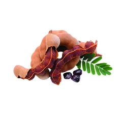 Danube Thailand Sweet Tamarind Pack