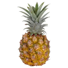Danube Pineapple Baby