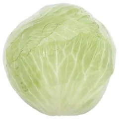 ملفوف