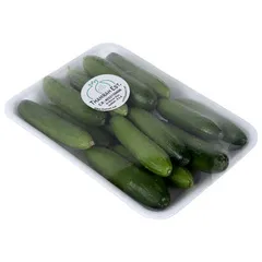 Small Cucumber (Pack)