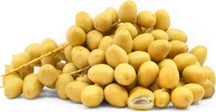 بلح برحي
