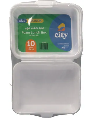 City Foam Lunch Box