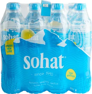 صحة مياه شرب معدنية طبيعية 500X12 لتر