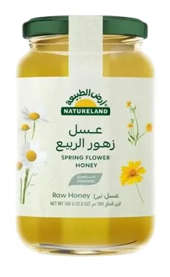 Natureland Organic Spring Flower Honey 500G