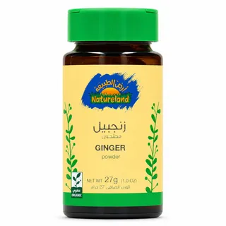 Natureland Ground Ginger Powder 27G