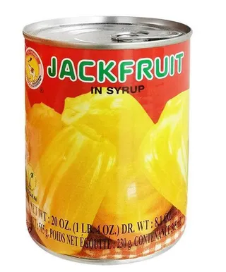 TAS Jackfruit In Syrup 565G
