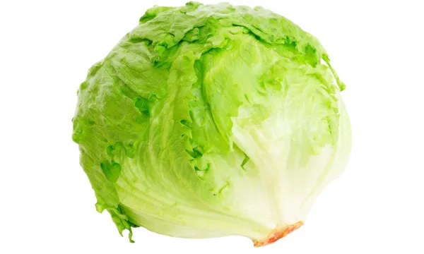 USA Iceberg Lettuce Per Kilo