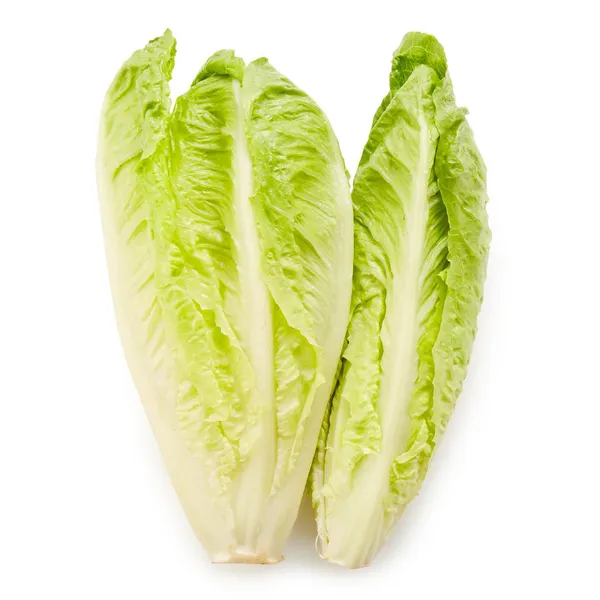 Romaine Lettuce Jordan