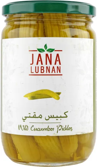 Jana Lubnan Wild Cucumber Pickles 660G