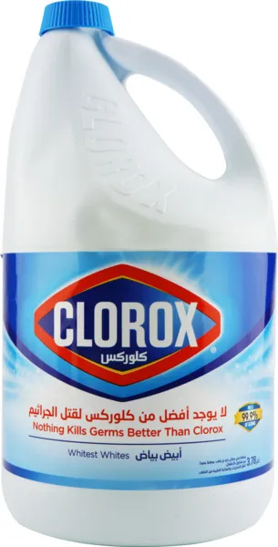Clorox Regular Bleach 1Gal