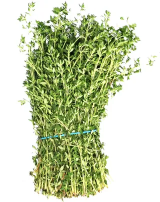 Thyme Leaves Packet