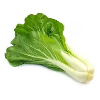 Kuwait Pak Choi Bunch