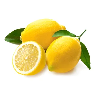 Lemon Foam Box Small