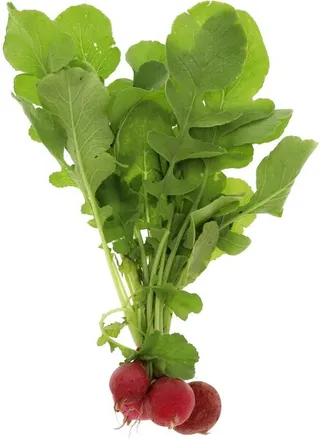 Red Radish Kuwait