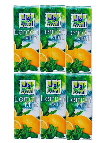 اوائل عصير الليمون بالنعناع 200X6 مل