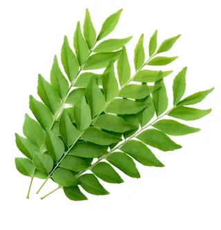 Indian Curry Leaves Per Kilo